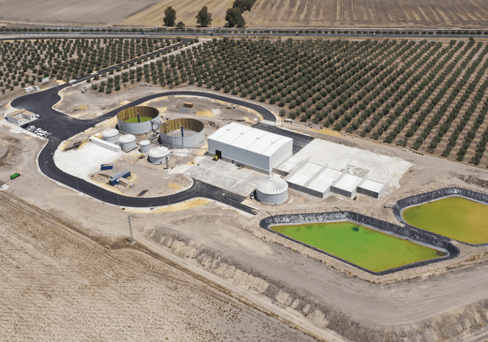 Diseno-sin-titulo-16-1